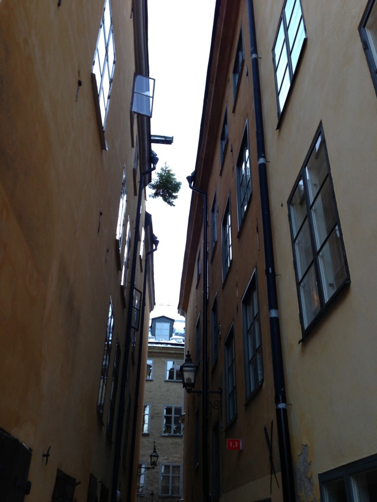 Stockholm christmas tree